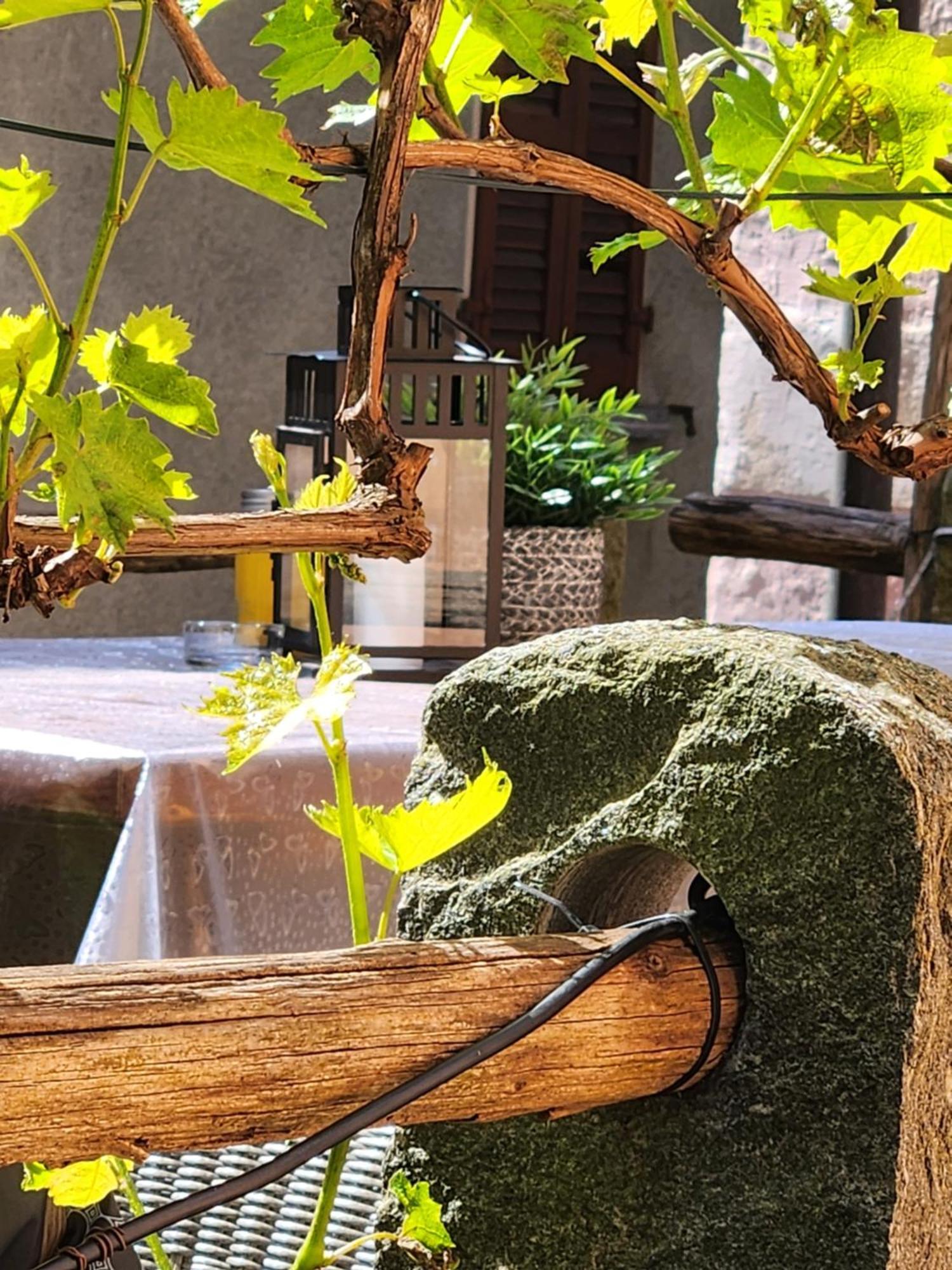 B&B Osteria Morganti Someo Exterior foto